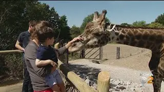 Kidsburgh: Celebrating Spring Around The Pittsburgh Region
