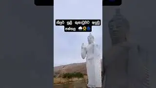 Acton California Hurricane Effect #usa #california #english #viral #acton #losangeles #cali #monk