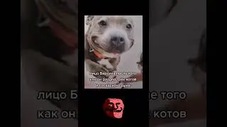 Довольный какой /  Трек: SOLIZY, Jidanofu, QUPE - baby im toxic / TROLLFACE MEME