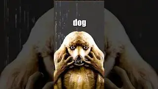 ИНЦИДЕНТ С ЧЕЛОВЕКОМ-СОБАКОЙ! 🐕