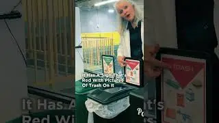 Meet Your Cafeteria Recycling Stations | Food Waste Series Part 1 #food #schoollunch #foodwaste