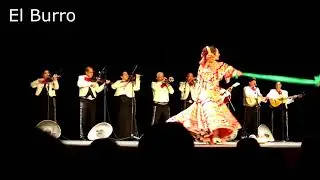 Grupo Folclórico Missael y Mariachi Calafia  - Francia 2017