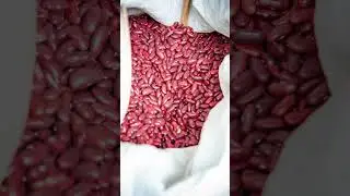 सेहत के लिए बहुत लाभकारी है राजमा  | Health Benefits of Eating Rajma (Kidney Beans)