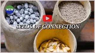 Seeds Of Connection | Hear from Community Knowledge Holders | Nagaland