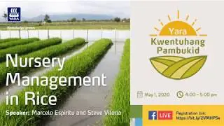 Nursery Management in Rice