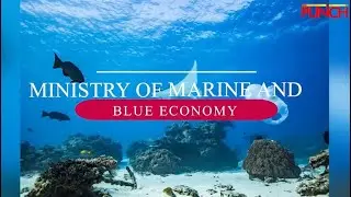 What You Need To Know About Ministry Of Marine And Blue Economy | Punch