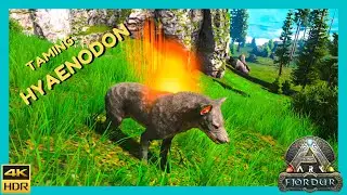 Ark - Fjordur : Taming a Hyaenodon
