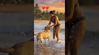 #automobile #𒆜foryou #srilanka #trending #viral #bus #1million #shortvideo #cute #petsrule