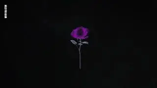 18th Avenue - Hold You Again (Visualizer)
