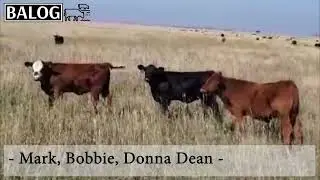 Mark, Bobbie, Donna Dean