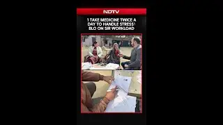 SIR 2025 | 'I Take Medicine Twice A Day To Handle Stress': BLO On SIR Workload