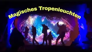 Magisches Tropenleuchten im Zoo Leipzig 2026