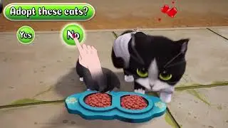 Kitten match ad compilation