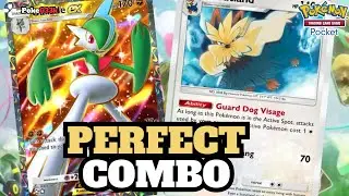GALLADE EX And STOUTLAND Is The BEST Combo | Pokemon Pocket