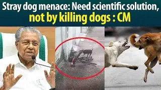 Know what Kerala CM Pinarayi Vijayan opine over stray dog menace!