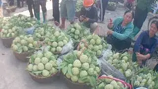 đặc sản Na ở chi Lăng đông bành Lang Sơn 