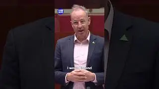 Senators clash over Australian flag | 9 News Australia