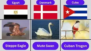 National Animals of Every Country with Pictures | List of National Animals by Country (2025)