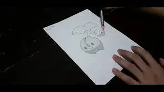 Drawing Cherubi