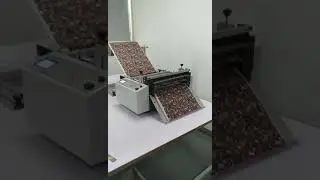 Roll to Sheet automatic cutting machine / M&aacute;quina cortadora autom&aacute;tica de rollo a hoja
