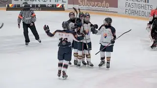 Seriematch mot Tyresö Hanviken Team 06 - SHC U15 Grupp 4