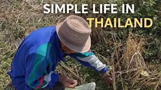 POV: Simple Life in Thailand &mdash; Morning Walk with Grandpa & Dog | 4K ASMR