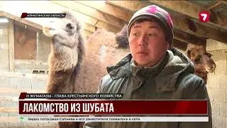 В Алматинской области делают мороженое из шубата
