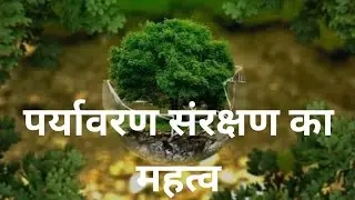 पर्यावरण संरक्षण का महत्व: वृक्षों का संरक्षण Importance  Environmental Protection Tree Conservation