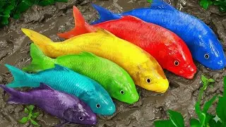 Mind-Blowing Fish & Underwater World Animation! 🐟😲