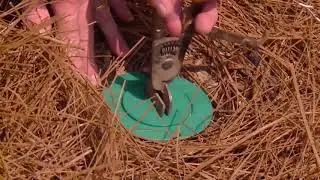 Sentricon Bait Stations by Arrow Termite and Pest Control