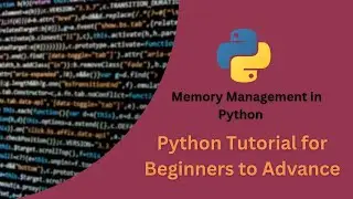 Memory Management in Python