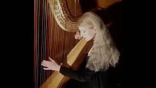 eine Handvoll N&uuml;sse f&uuml;rs Br&ouml;dl - a harp cover by Simonetta