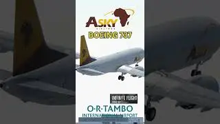 ASKY Airlines Boeing 737 Lifts Off Loud from OR Tambo!