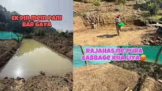 Rajahas Ne Pura Cabbage Kha Liya || Ab Ready Hogaya Machli Dal Ne Ke Liye