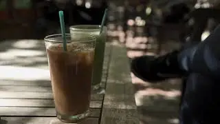 Day at the Cafe - Linnaea's Cafe