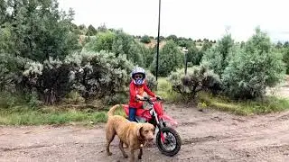 CRF-E2 first ride with the kids