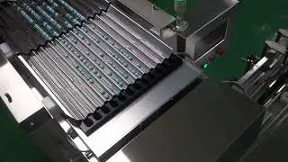 Counting packing line with container holder - TC60W line