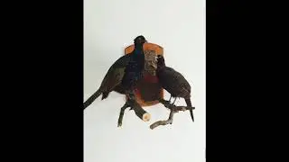 Alpha Bite - Alle Ande