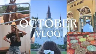 October Fall Vlog | New Orleans, farm animals, pumpkin carving, greek food