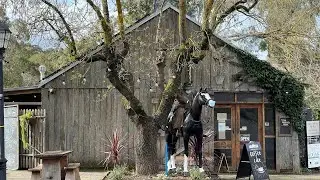Hahndorf - German town in South Australia?