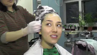 Model #5 Trailer