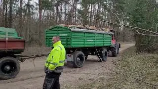 Belarus mts Holz Brigade
