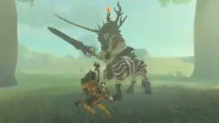 Silver Lynel Fight 4K