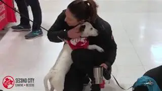 Second City Canine Rescue