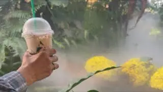 УТРЕННИЙ КОФЕ В Garden IRL Стримчик Big Family