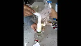 Dab City Ya Bitch