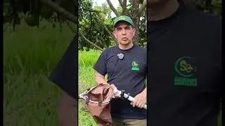 Cosechadora de frutas Solucampo 