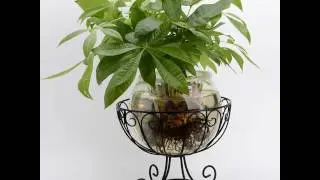 Huajun&reg; Scroll Fruit Bowl Egg Basket Black Metal Wire,10.6 inches