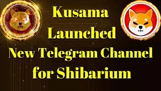 Breaking Crypto News | Shytoshi Kusama Has Launched A New Telegram Channel For Shibarium.