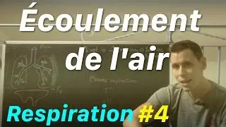 Pourquoi et comment l'air rentre dans nos poumons? Respiration épisode 4